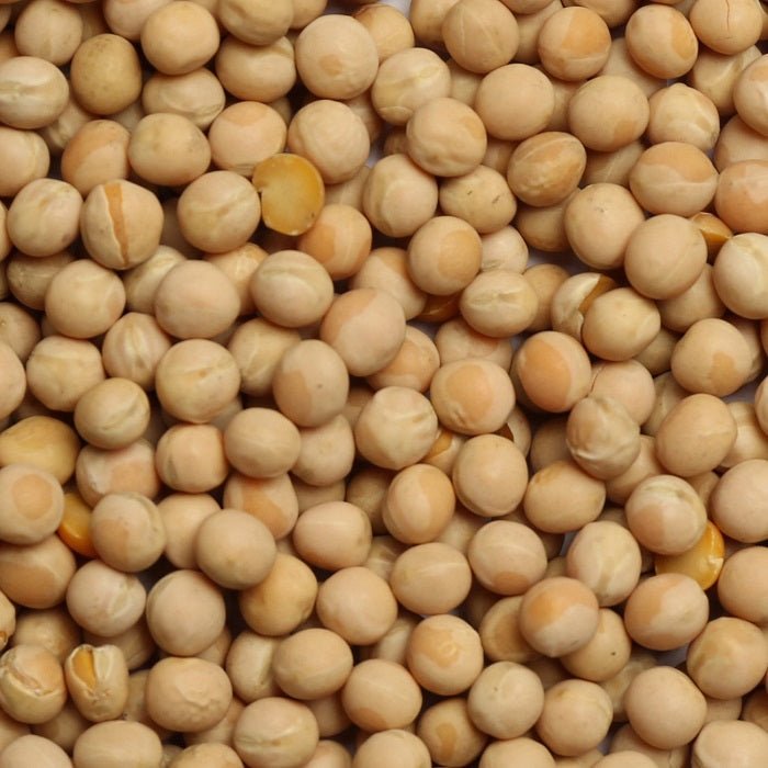 Canadian Peas Premium Canadian Peas for Racing Pigeons