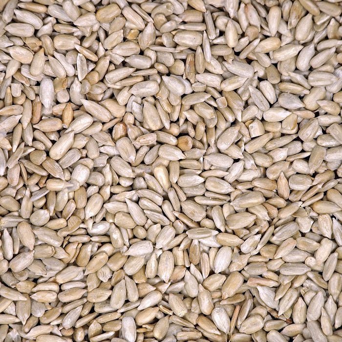 Hulled Sunflower Shell-Free Bird Food