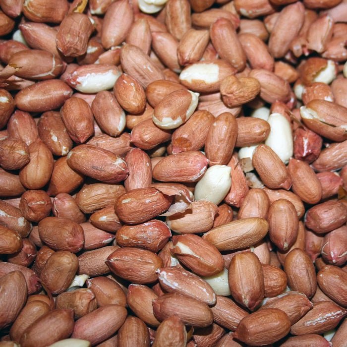 Hulled Peanuts Premium Wild Bird Food Supplement