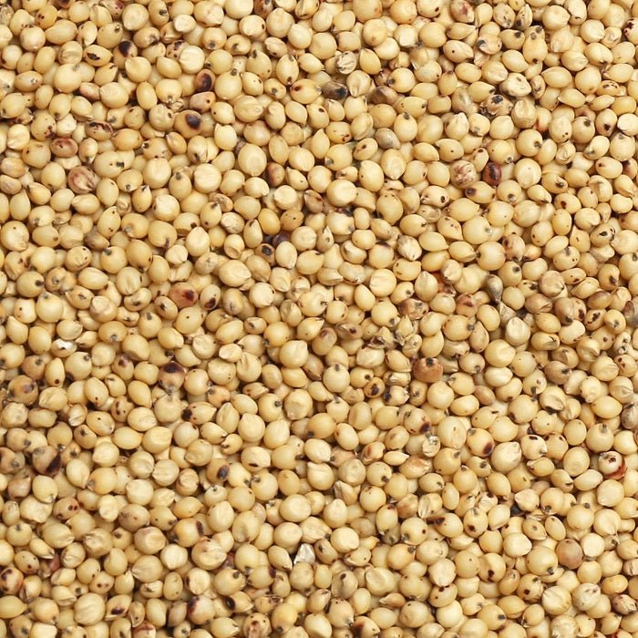 White Milo Milo Seed for Birds/Premium Birdseed