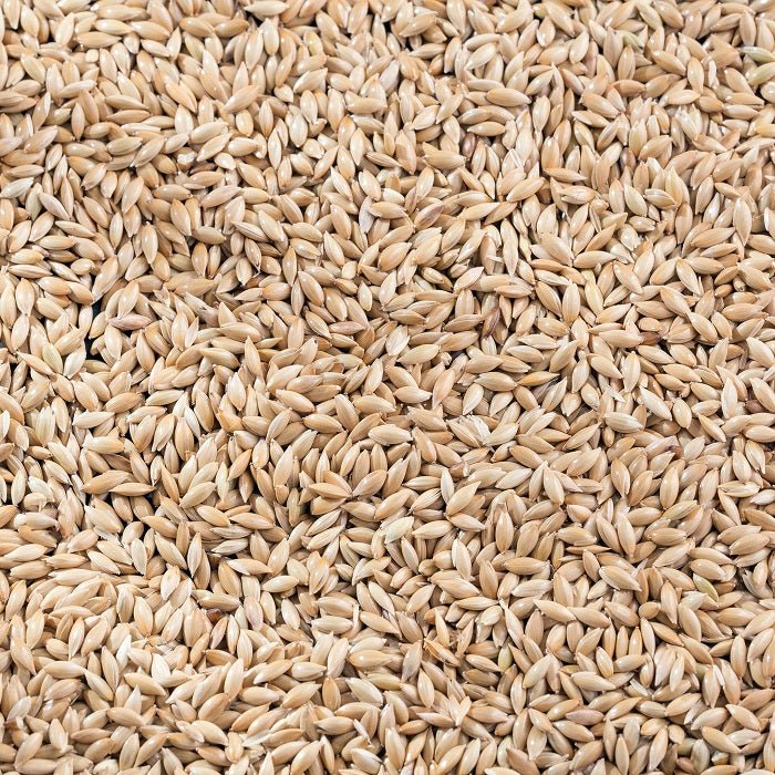 Canary Seed Premium Canadian Canary Bird Food