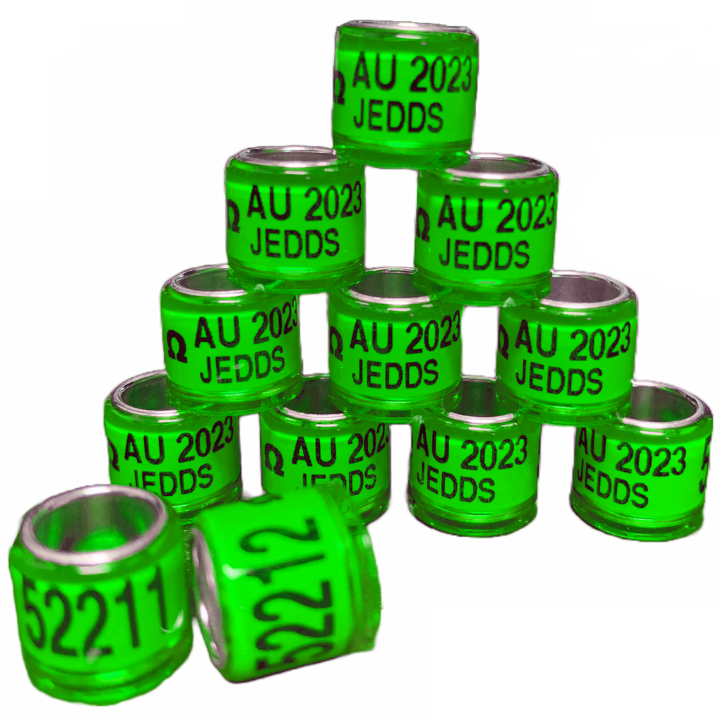 AU2026Multibands_1024x 2026 SEAMLESS A.U. BANDS - Image 1