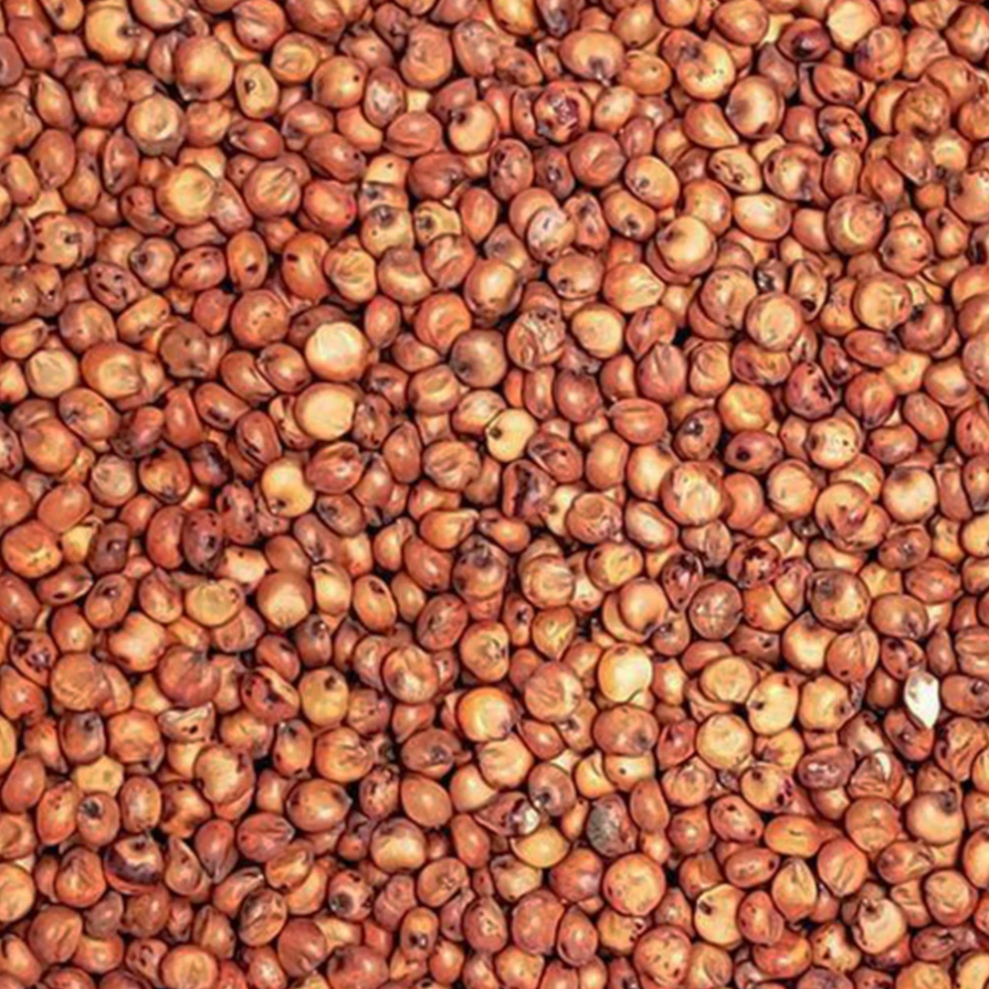 Recleaned Milo for Birds & Wildlife