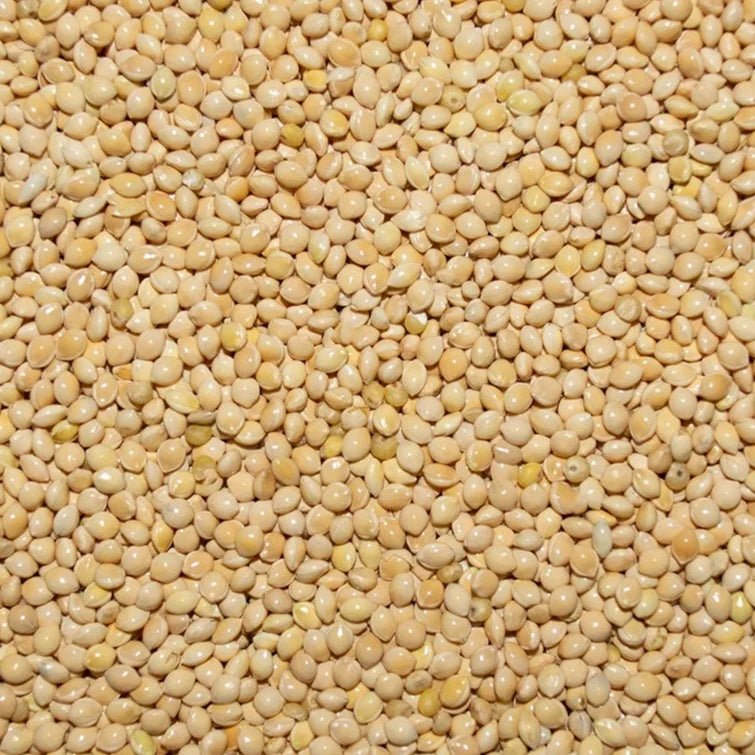 White Millet White Millet Seed for Pigeons & Doves