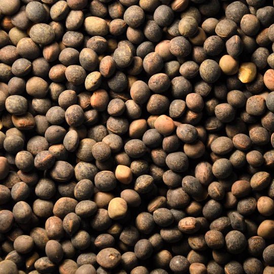 Vetch Peas High-Protein Premium Bird Food Supplement