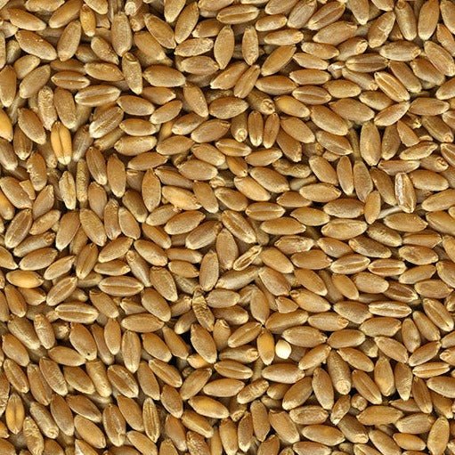 Red Hard Winter Wheat Quality Hard Red Winter Wheat